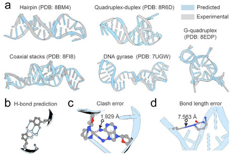 End-to-end single-stranded DNA sequence design with all-atom structure reconstruction | brvai | RMH | Scoop.it