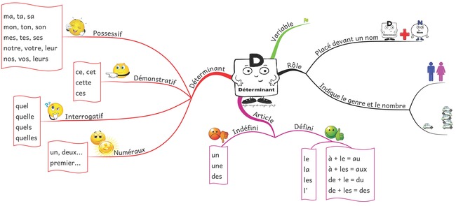 Les déterminants | POURQUOI PAS... EN FRANÇAIS ? | Scoop.it