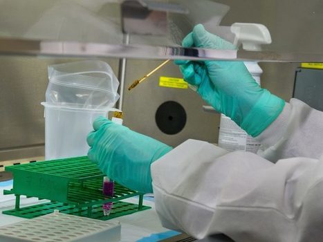 Indian Govt approves use of hydroxychloroquine with azithromycin for critical COVID-19 patients | Covid-19, SARS-Cov-2, vaccines, Remdesivir, Chloroquine...and all that Jazz | Scoop.it