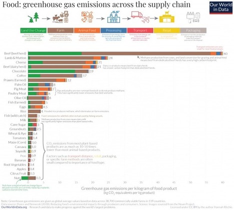 Emissions from food alone could use up all of our budget for 1.5°C or 2°C – but we have a range of opportunities to avoid this | Medici per l'ambiente - A cura di ISDE Modena in collaborazione con "Marketing sociale". Newsletter N°34 | Scoop.it