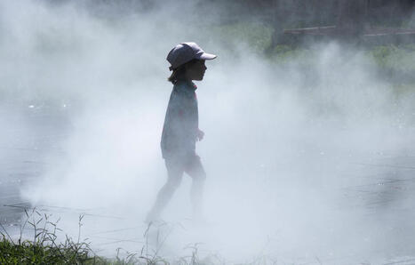 Dérèglement Climatique : Des canicules d’un mois dans les grandes villes ? | Planète DDurable | Scoop.it