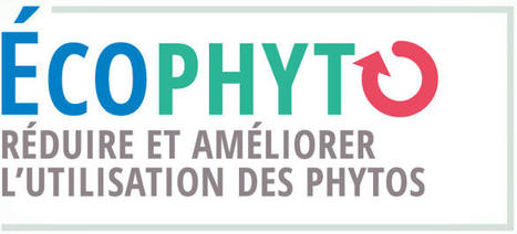 Webinaire DEPHY FERME : réduction des herbicides & du travail du sol : c'est possible ! | Biodiversité | Scoop.it