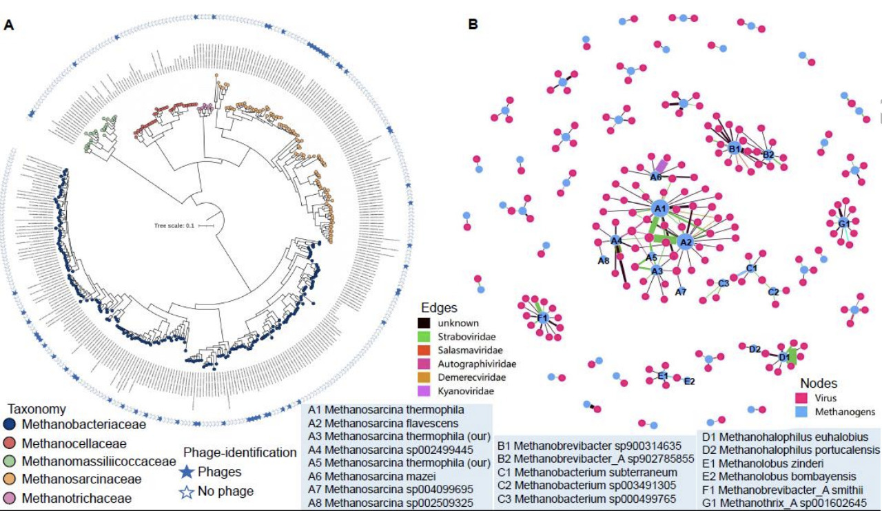 Coevolution and cross-infection patterns betwee...