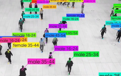 Retailers now have access to crowd monitoring solutions that determine in real-time the demographics, dwell times, footfall, heatmap and other KPIs | Digital Collaboration and the 21st C. | Scoop.it