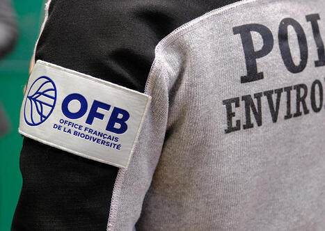 Biodiversit&eacute; : l'OFB invit&eacute; &agrave; renforcer sa collaboration avec les collectivit&eacute;s | Paysage - Environnement | Scoop.it