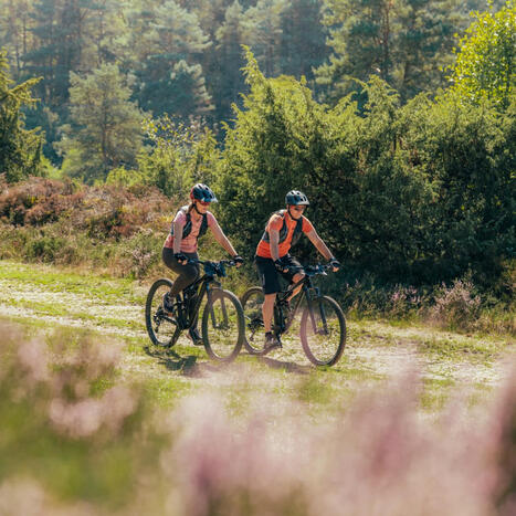 L&rsquo;&Eacute;chapp&eacute;e Jurassienne se d&eacute;cline &eacute;galement &agrave; VTT ! | Voyages,Tourisme et Transports... | Scoop.it