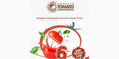 MAROC: Tomato Conference 2026 : la fili&egrave;re tomate marocaine face &agrave; ses d&eacute;fis strat&eacute;giques | CIHEAM Press Review | Scoop.it
