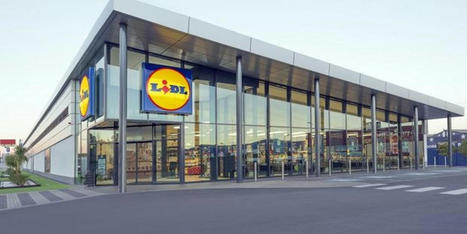 Lidl impondrá un "plan de acción" a sus proveedores de frutos rojos tras realizar en Huelva su propia "evaluación de impacto" sobre los Derechos Humanos. | Evaluación de Políticas Públicas - Actualidad y noticias | Scoop.it