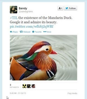 #TIL "Today I Learned": A Fun Web Meme that's Great for Promoting Metacognition | iGeneration - Humane Use of Technology in an AI world (Pedagogy & Digital Innovation) | Scoop.it