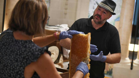 Lille: les abeilles font le bzzz &agrave; l&rsquo;op&eacute;ra | Nature en ville | Scoop.it