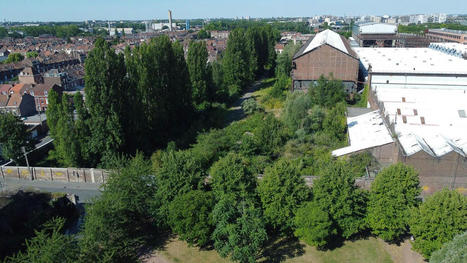 Lille : 260 arbres ont-ils (vraiment) &eacute;t&eacute; plant&eacute;s dans la friche Fives-Cail ? | Nature en ville | Scoop.it
