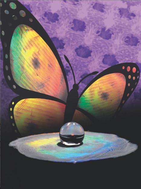Découverte d'une nouvelle méthode pour reproduire la couleur et la texture des ailes de papillons | EntomoNews | Scoop.it