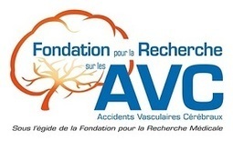 AAP Fondation pour la Recherche sur les AVC | Life Sciences Université Paris-Saclay | Scoop.it
