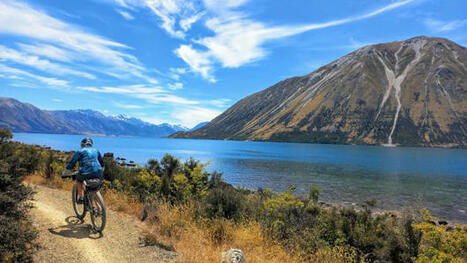 New Zealand's 'vanished world' of ancient megafauna | Trans Tasman Migration | Scoop.it