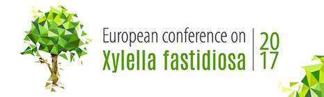 Conférence scientifique majeure sur la recherche européenne sur la bactérie Xylella fastidiosa et ses vecteurs | EntomoNews | Scoop.it