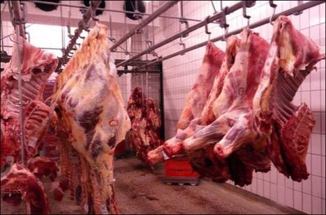 Les abattoirs du Luxembourg sous contrôle | La Gazette des abattoirs | Scoop.it