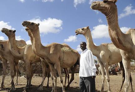 Somaliland wants to be a trading hub -- Here are the problems | Humanitarian Supply Chain & Logistics | Scoop.it