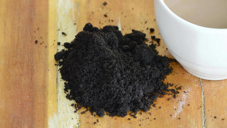 Spent coffee grounds could get a second life as sturdy concrete | The EcoPlum Daily | Scoop.it