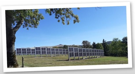 Haies verticales photovoltaïques : Un projet de recherche pour mesurer les effets sur les prairies et les animaux | Lait de Normandie... et d'ailleurs | Scoop.it