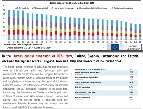 Human Capital and Digital Skills | Digital Single Market | #Digitalisierung #DESI #DESI2019 #EU #Europe #Luxembourg #DigitalLuxembourg  | Luxembourg (Europe) | Scoop.it