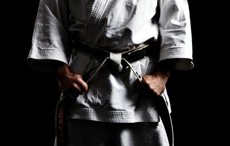 The Dojo Leadership Method: A CEO's Guide to Warrior-Grade Resilience | Performance Project | Scoop.it