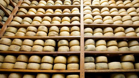 Why ITALIAN cheesemakers buried their pecorino  | CIHEAM Press Review | Scoop.it