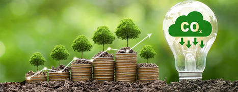 Cour des Comptes | Evaluaci&oacute;n de Pol&iacute;ticas P&uacute;blicas - Portal de actualidad y noticias | Scoop.it