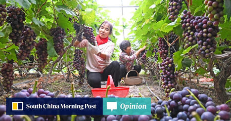 CHINA: Seeks to cultivate a food supply immune to geopolitical shocks | ASIES | Scoop.it