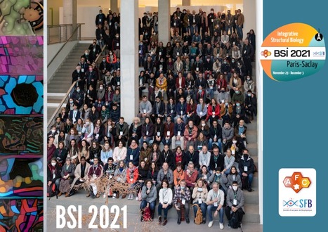 BSI 2021: one week with intensive scientific discussions! | I2BC Paris-Saclay | Scoop.it