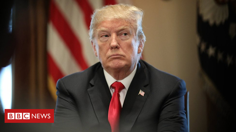 Trump set to announce China sanctions after IP probe | International Economics: IB Economics | Scoop.it