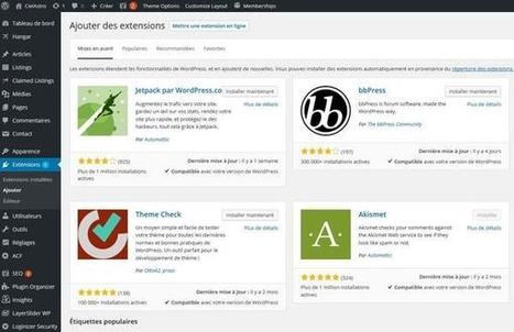 WordPress : thèmes, plugins, dernière version... | Freewares | Scoop.it