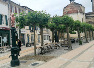 Immobilier dans les Landes : Saint-Sever, locomotive de la Chalosse | Landes - Conseils municipaux & communautaires | Scoop.it