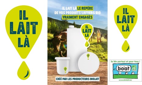 Lait bio « IL LAIT LÀ » cherche soutien des consommateurs | Lait de Normandie... et d'ailleurs | Scoop.it