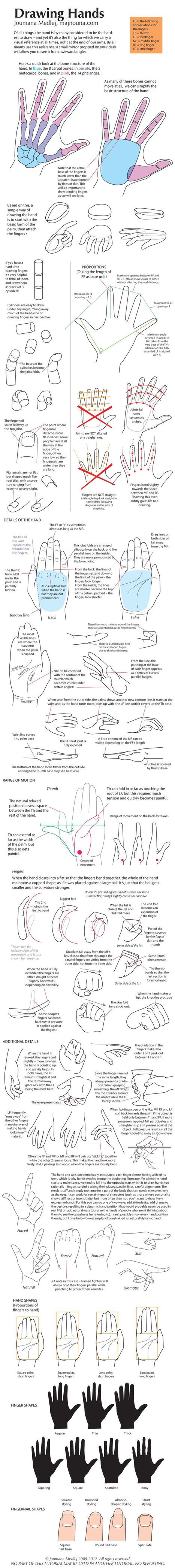 Hand Drawing Reference Guide | Drawing References and Resources | Scoop.it