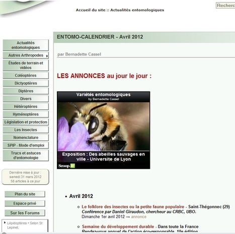 Entomo-calendrier AVRIL 2012 - Le monde des insectes | Variétés entomologiques | Scoop.it