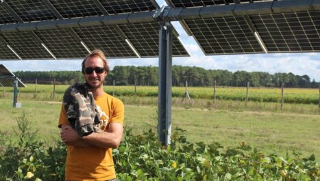 Agrivolta&iuml;sme - Le laboratoire de Losse | Landes - Conseils municipaux & communautaires | Scoop.it