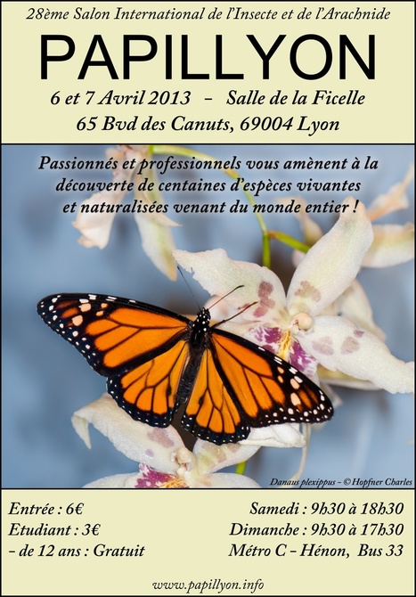 Papillyon 2013 | Variétés entomologiques | Scoop.it