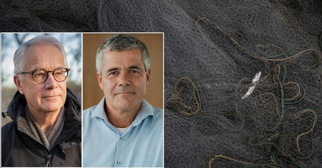 Skydda fiskbest&aring;ndet &ndash; schabbla inte bort det | 1Uutiset - Lukemisen t&auml;hden | Scoop.it