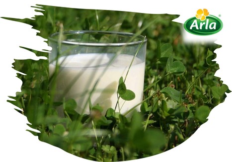 Arla UK reste stable sur les prix du lait pour février 2024 | Lait de Normandie... et d'ailleurs | Scoop.it
