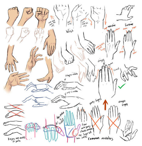 Hand Drawing Reference Guide | Drawing References and Resources | Scoop.it