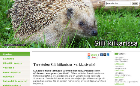 Tervetuloa Siili kiikarissa -verkkosivulle! | 1Uutiset - Lukemisen t&auml;hden | Scoop.it