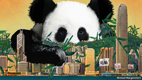 The struggle for Hong Kong | SSSC Politics  China | Scoop.it