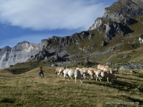 Quand les blondes descendent de la montagne | Vallées d'Aure & Louron - Pyrénées | Scoop.it