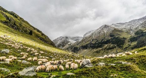 La transhumance est désormais officiellement inscrite au patrimoine culturel immatériel de l'UNESCO | Vallées d'Aure & Louron - Pyrénées | Scoop.it