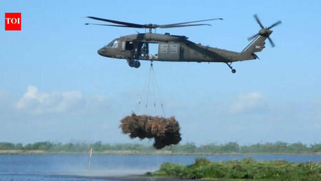 New Orleans collected 9,000 discarded Christmas trees & airlifted them into coastal wetlands to restore marsh equal to nearly 200 football fields | by World Desk | TimesOfIndia.IndiaTimes.com | @The Convergence of ICT, the Environment, Climate Change, EV and HEV Transportation & Distributed Renewable Energy | Scoop.it