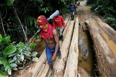 Guarani reko: Una tribu en Brasil combate a los deforestadores del Amazonas a su modo: persiguiéndolos y desnudándolos | Abya Yala | Scoop.it