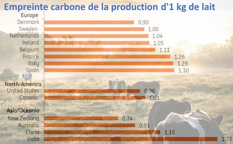 De nombreuses grandes entreprises laitières prévoient d’atteindre le « zéro émission nette » | Lait de Normandie... et d'ailleurs | Scoop.it