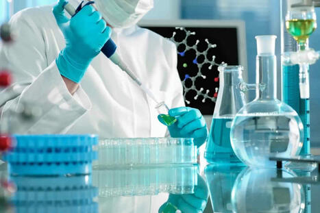 Enseignement supérieur: des prix seront décernés à la meilleure thèse de doctorat et au meilleur laboratoire de recherche scientifique | Veille Ethique de la recherche | Scoop.it