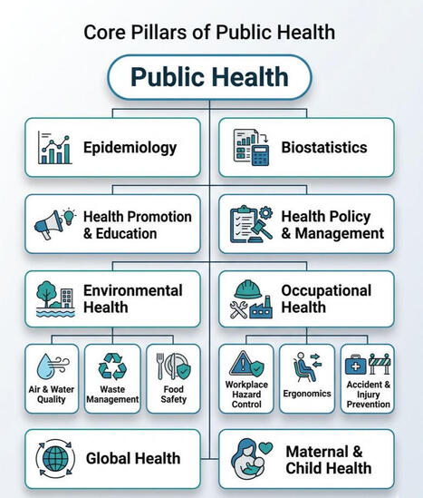 Public Health Pillars: Intelligence, Governance, Determinants, Equity | Ademolu James posted on the topic | H&eacute;sitations Vaccinales: Observatoire HESIVAXs | Scoop.it