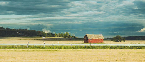 Sweden produces enough calories and protein for self-sufficiency, new report finds - Stockholm Resilience Centre | Energy Transition in Europe | www.energy-cities.eu | Scoop.it
